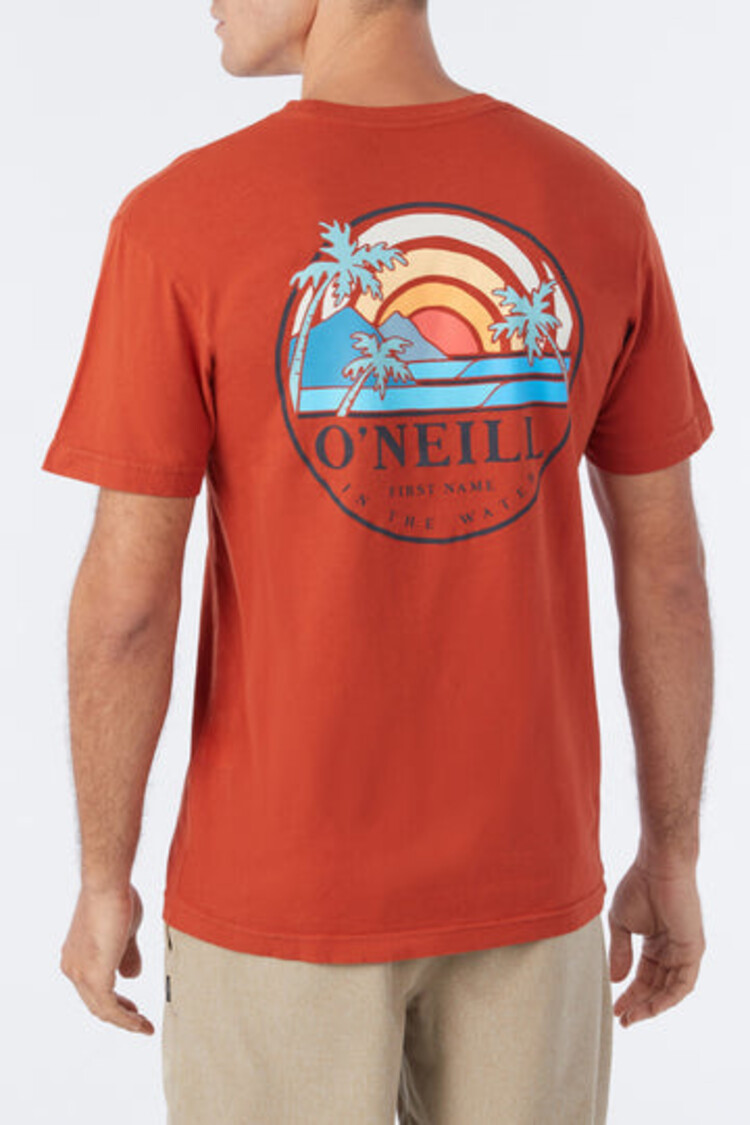 O'Neill O'Neill Mens Shaved Ice Tee