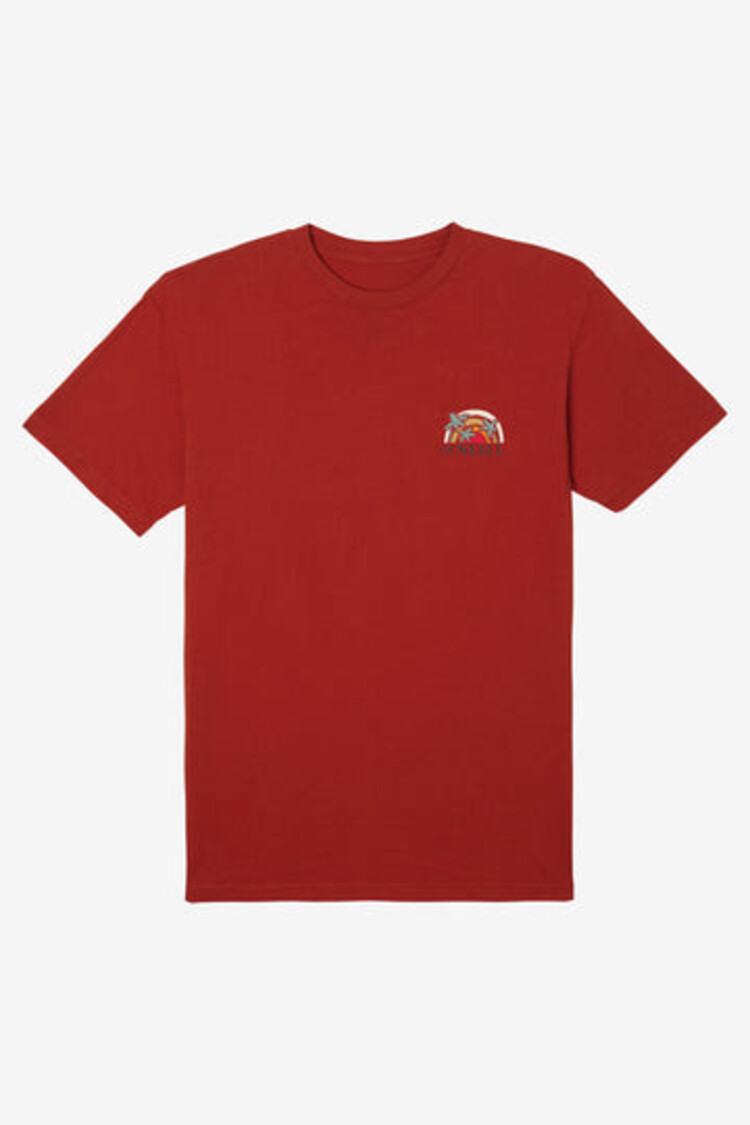 O'Neill O'Neill Mens Shaved Ice Tee