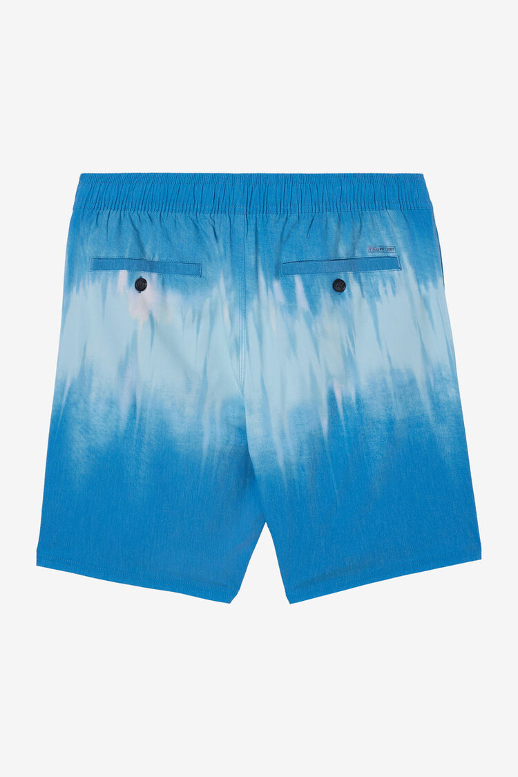 O'Neill O'Neill Junior Stockton Print E-Waist 16" Hybrid Shorts