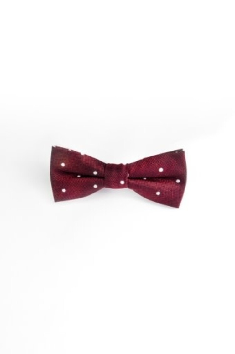 Appaman Appaman Kids Bow Tie - BURGUNDY DOTS - 1SIZE