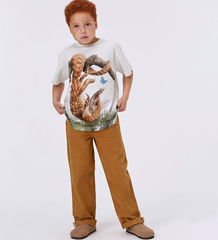 Molo Molo Junior Ace Pants - BRASSY ROCK