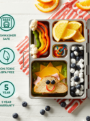 PlanetBox Rover Lunchbox – The Wild