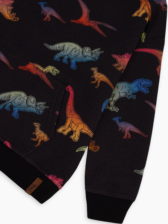 https://cdn.shoplightspeed.com/shops/613188/files/56751874/712x946x1/deux-par-deux-kids-dino-terry-hoodie-blk-3.jpg