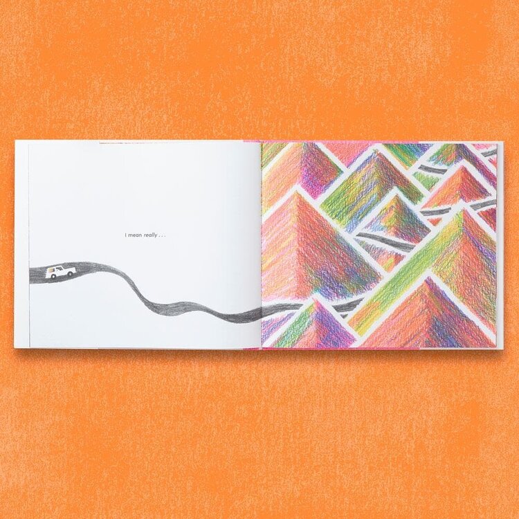 Chronicle Books Have You Ever Seen a Flower?