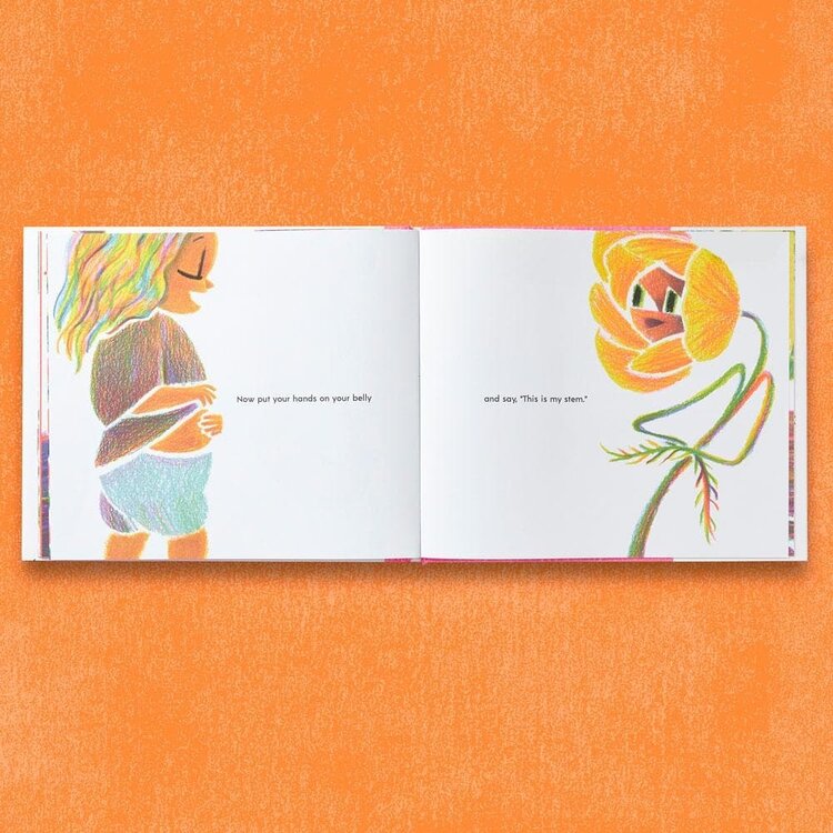 Chronicle Books Have You Ever Seen a Flower?