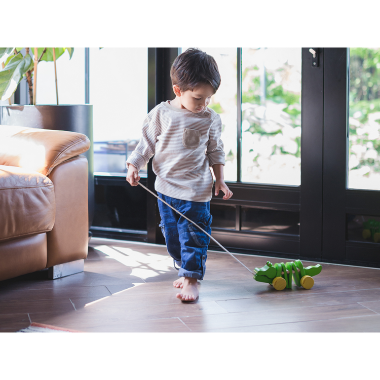 Plan Toys Plan Toys Dancing Alligator