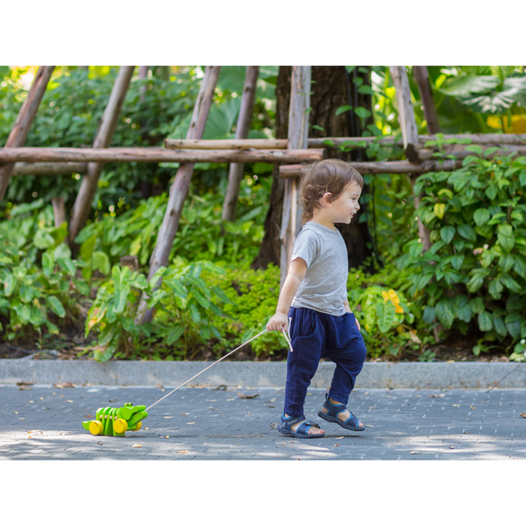 Plan Toys Plan Toys Dancing Alligator