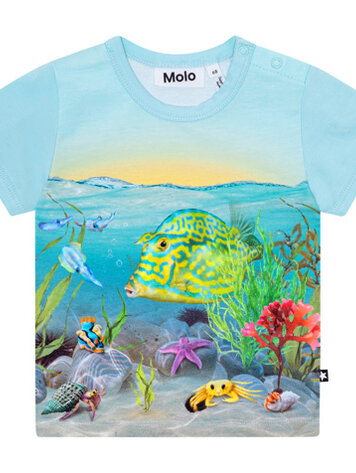 Molo Molo Baby Easy S/S T-Shirt - TROPIC SEA
