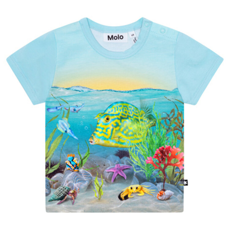 Molo Molo Baby Easy Short Sleeve T-Shirt - TROPIC SEA