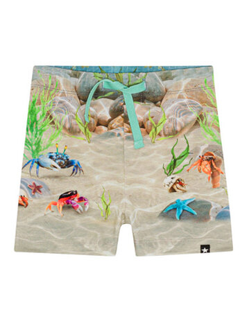 Molo Molo Baby Simroy Shorts - TROPIC SEA