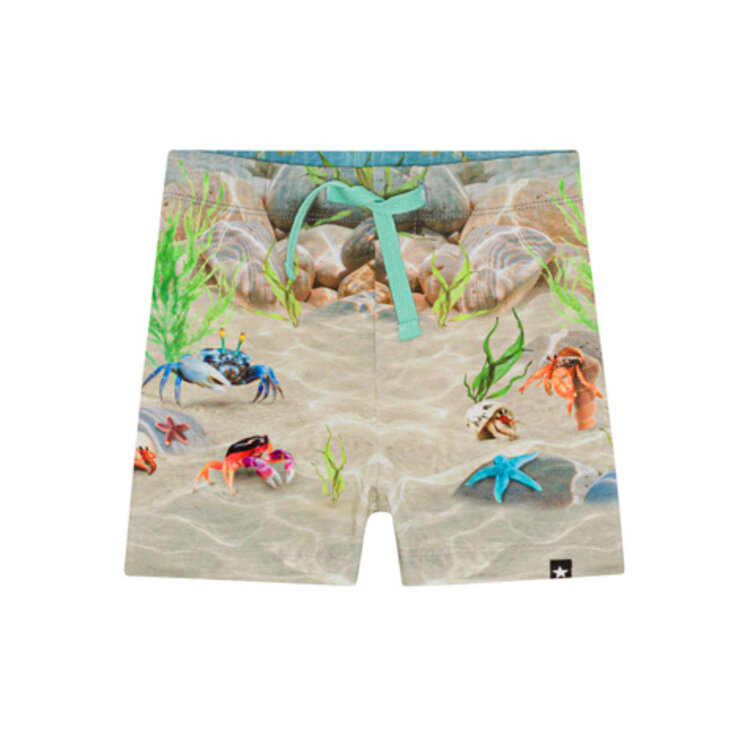 Molo Molo Baby Simroy Shorts - TROPIC SEA
