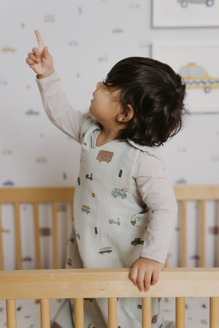 Pehr Designs Pehr Sleep Bag 1.7 TOG - RUSH HOUR