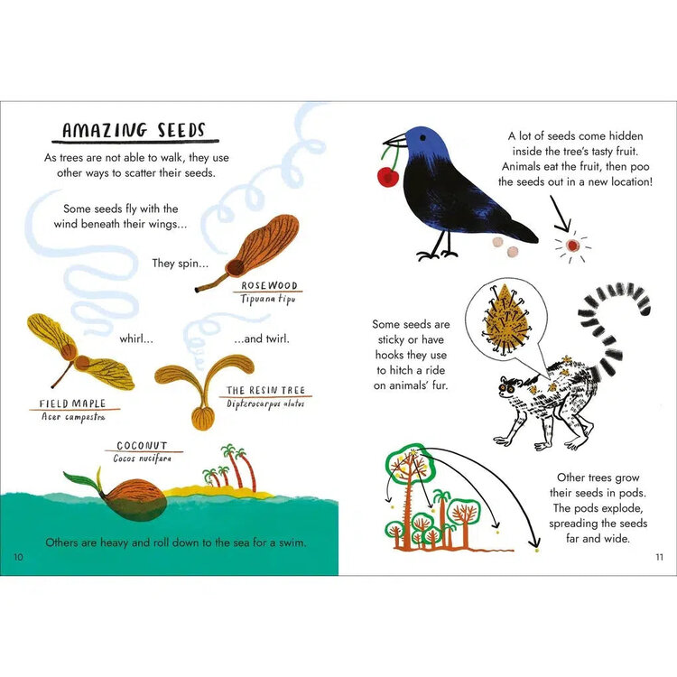 Hello Trees: A Little Guide to Nature