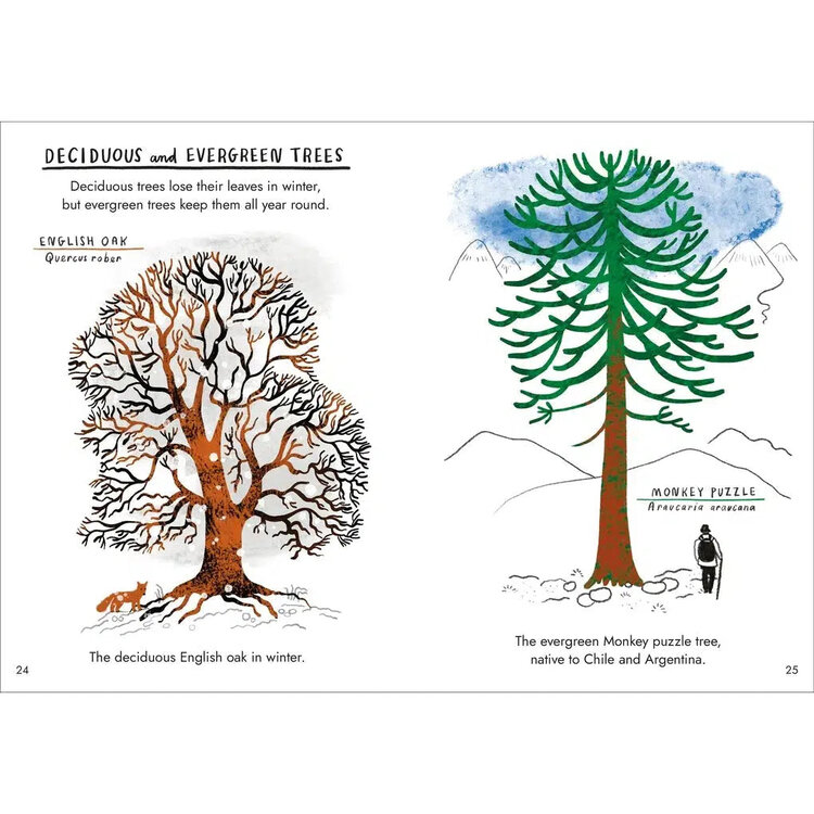 Hello Trees: A Little Guide to Nature