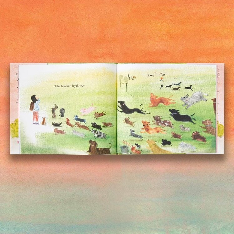 Chronicle Books Can I Sit with You