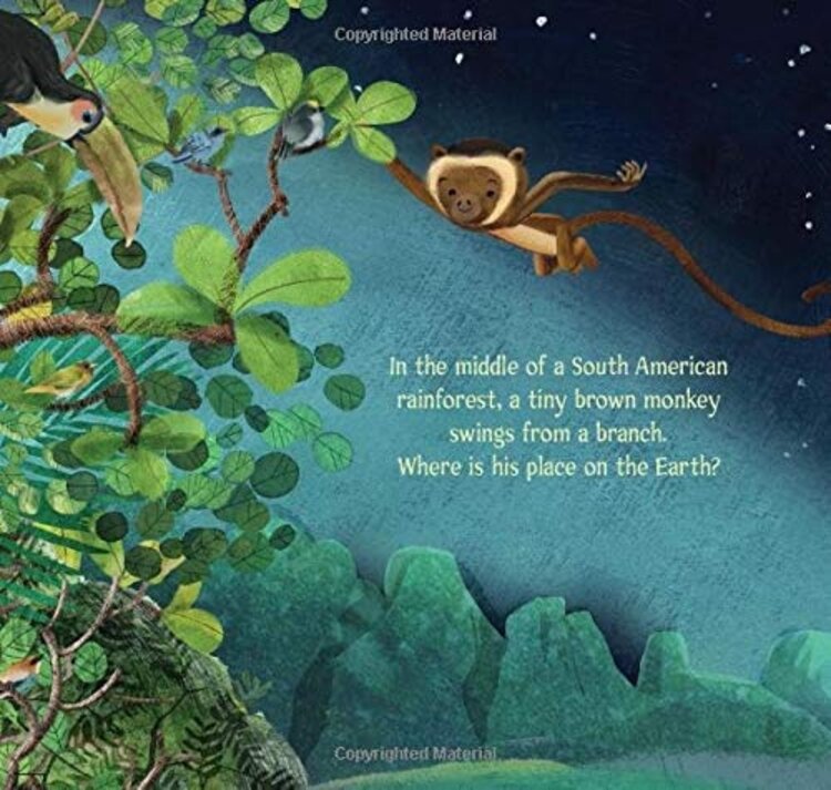 A Tiny Brown Monkey on the Big Blue Earth