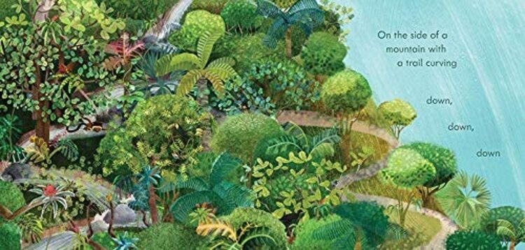 A Tiny Brown Monkey on the Big Blue Earth