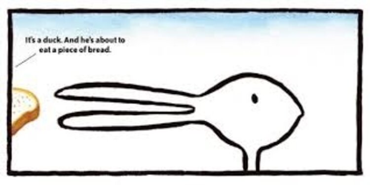 Chronicle Books Duck! Rabbit! - Hardcover