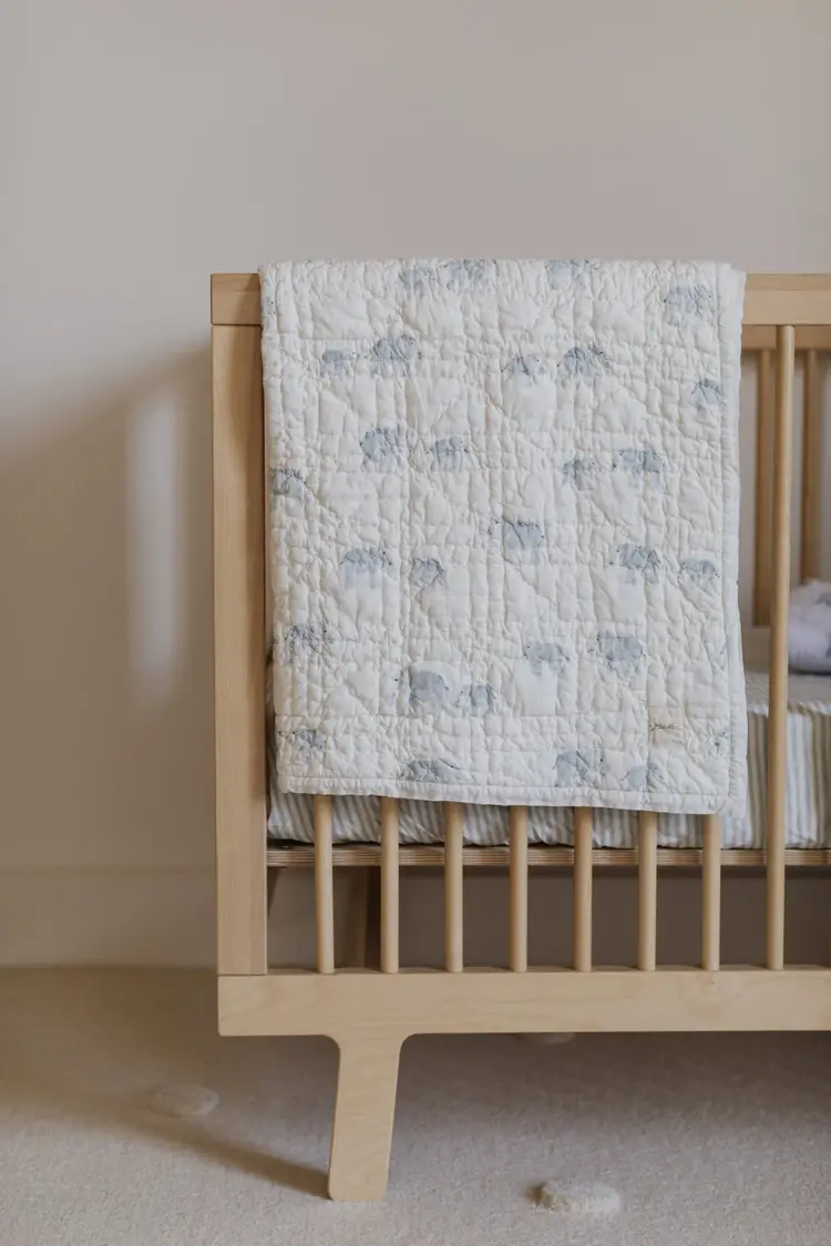 Pehr Designs Pehr Baby Blanket -