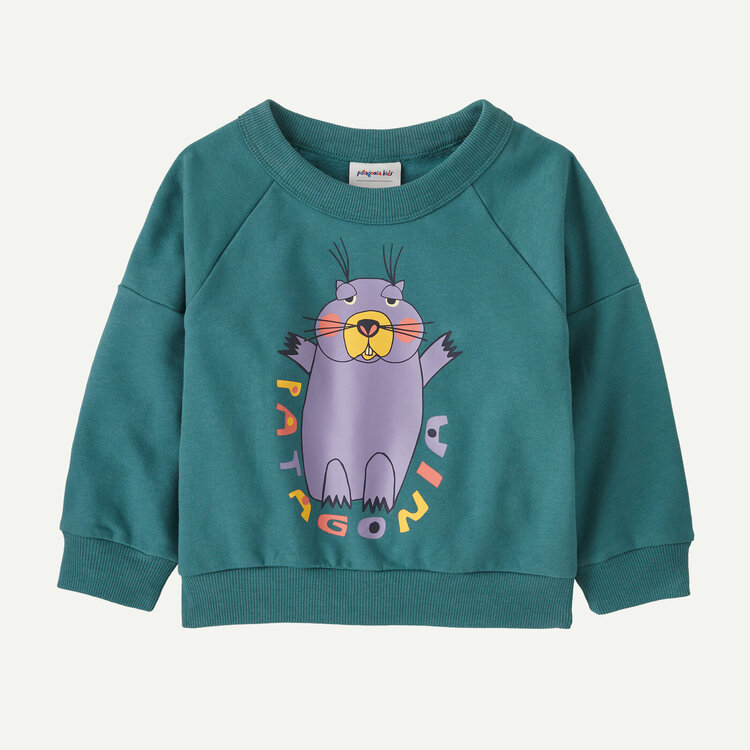 Patagonia Patagonia Baby Crewneck Sweatshirt
