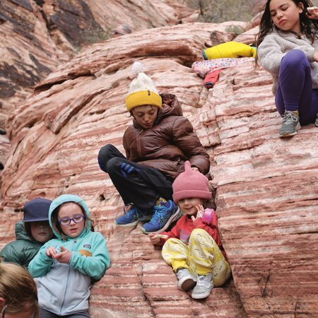 Patagonia Bestsellers