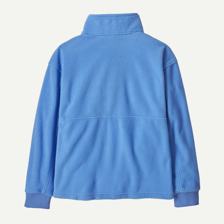 Patagonia Patagonia Kids' Microdini 1/2-Zip Fleece Pullover - ABNB