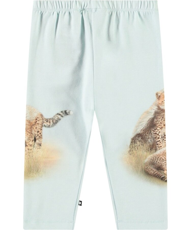 Molo Molo Baby Eloy & Simway Set- Cute Cheetah