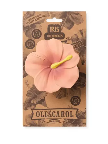 Oli & Carol Oli & Carol Iris Hibiscus