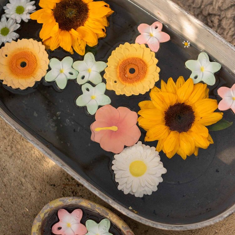 Oli & Carol Oli & Carol Sun Sunflower