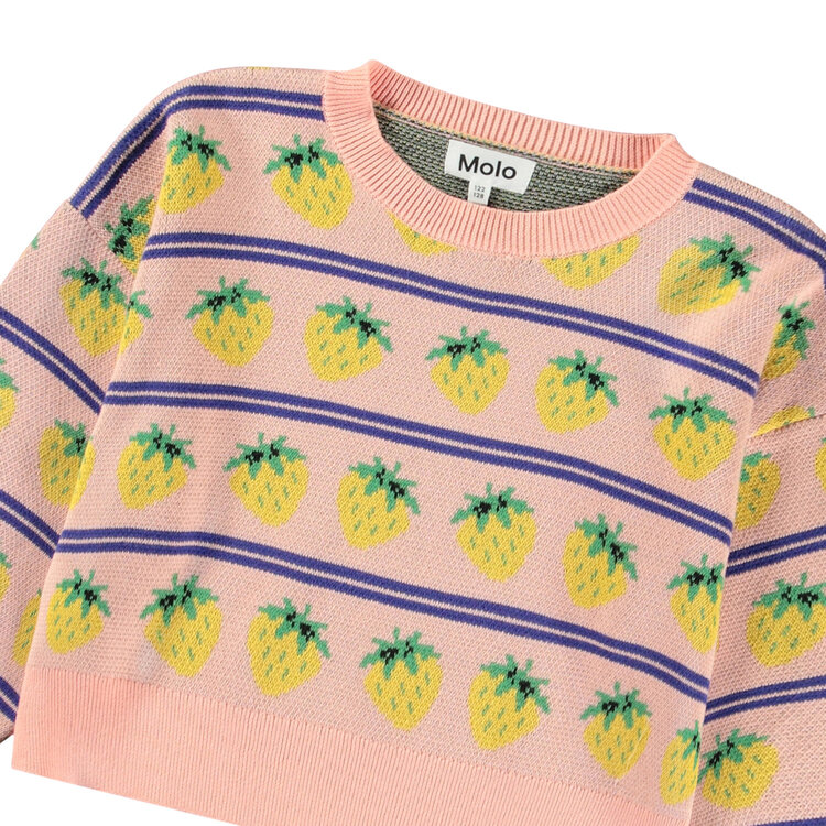 Molo Molo Gerrie Sweater - Nature Fruits