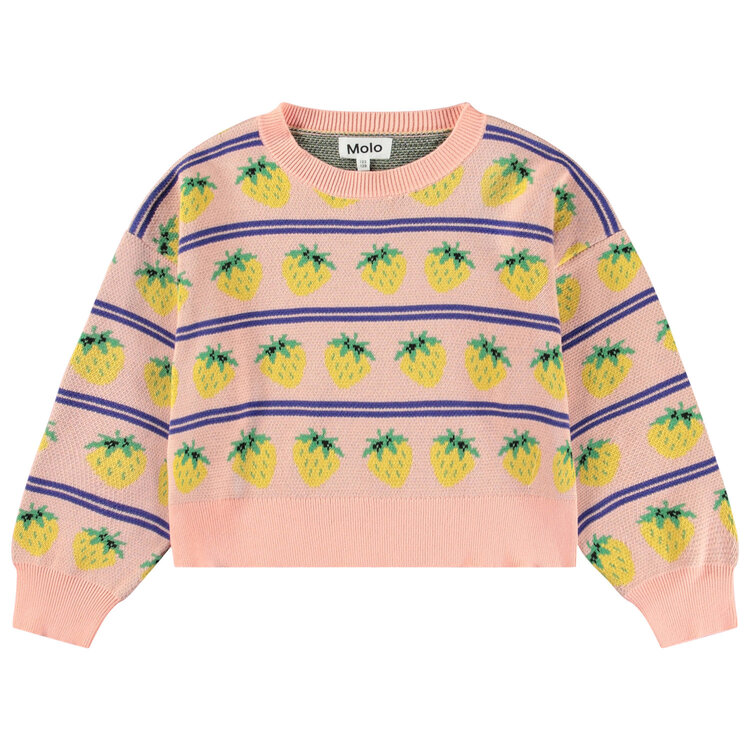 Molo Molo Gerrie Sweater - Nature Fruits
