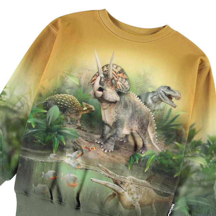 Molo Molo Mattis Sweatshirt - Forest Dinos