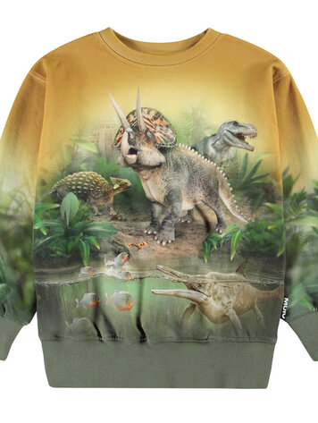 Molo Molo Mattis Sweatshirt - Forest Dinos