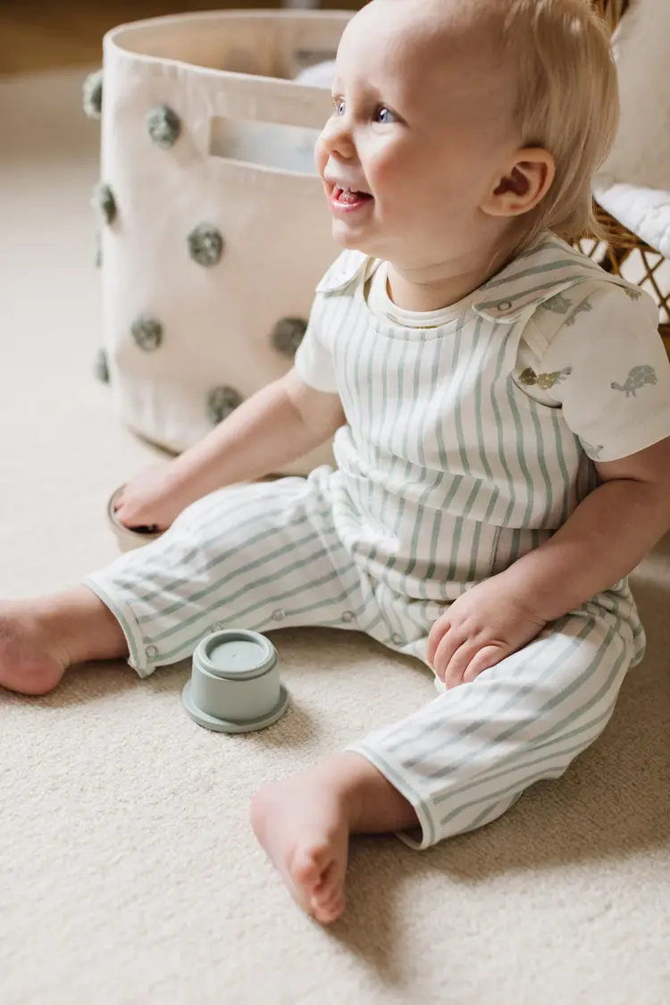 Pehr Designs Baby Overalls Stripes Away Sea