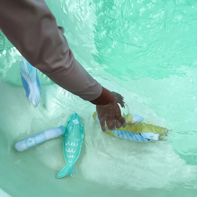 Sunnylife Dive Buddies Sammy the Seagull 6-pack