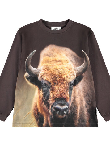 Molo Rube- Bison Encounter