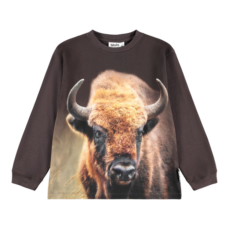 Molo Rube- Bison Encounter