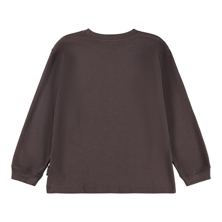 Molo Rube- Bison Encounter