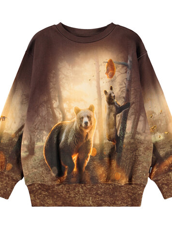 Molo Mattis- Honey Bears