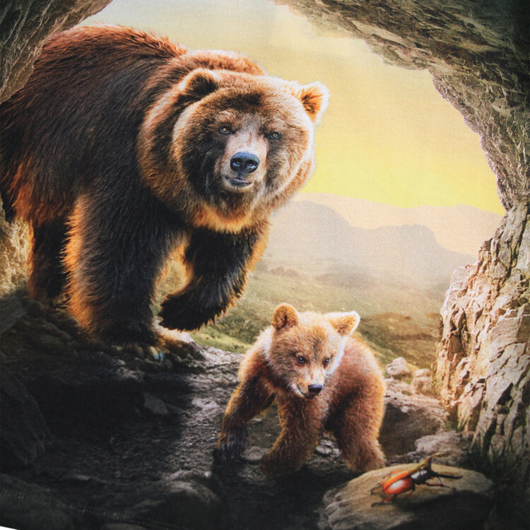 Molo Reif - Bears in Cave