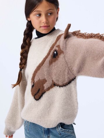 Molo Gisela Sweater - Horse Knit