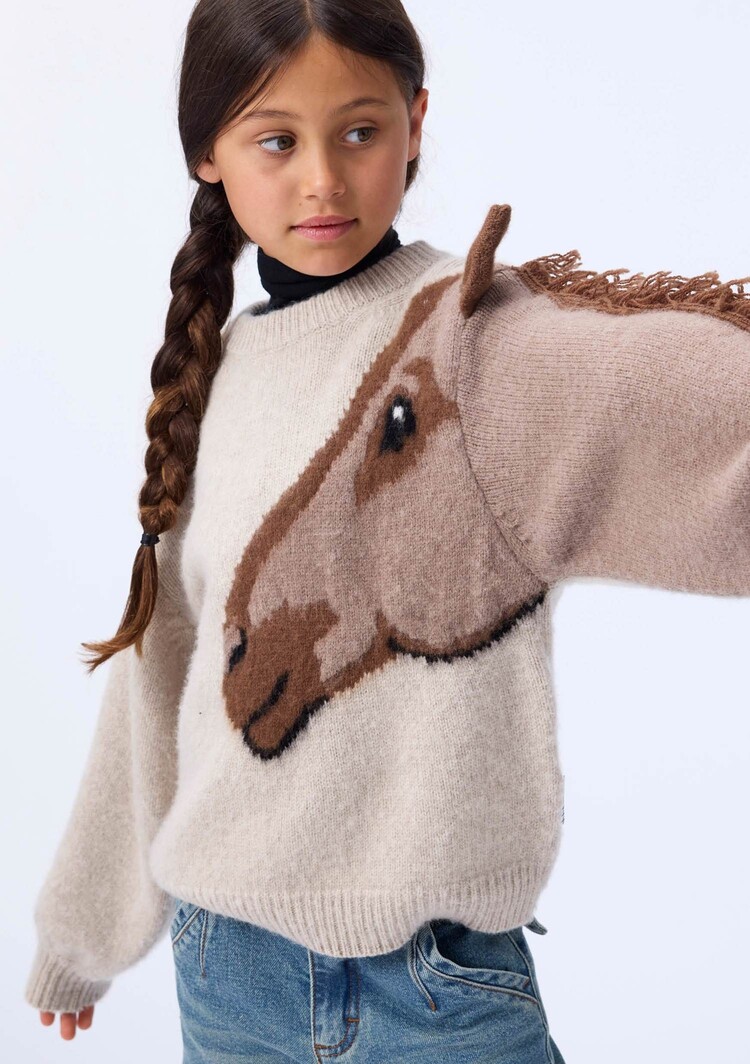 Molo Gisela Sweater - Horse Knit