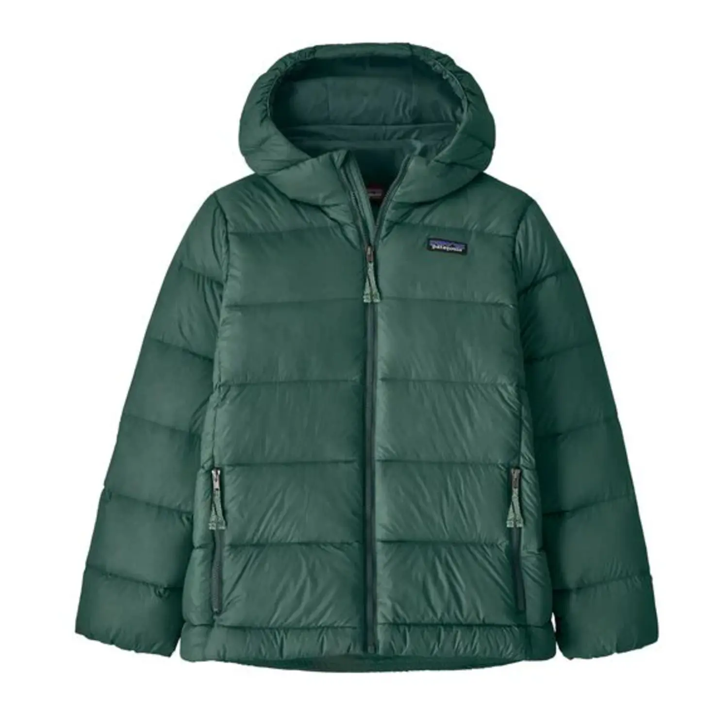 Patagonia Kids' Hi-Loft Down Sweater™ Hoody- Cascade Green