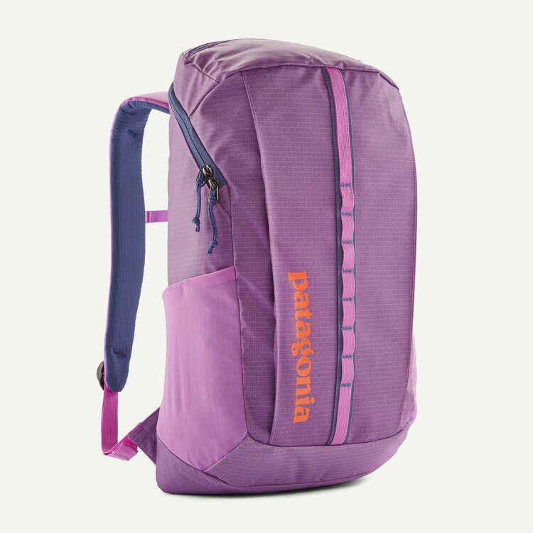 Patagonia Black Hole® Pack 25L- Brisk Purple