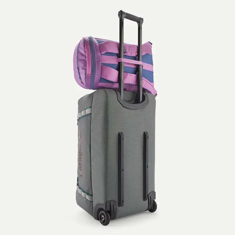 Patagonia Black Hole® Pack 25L- Brisk Purple