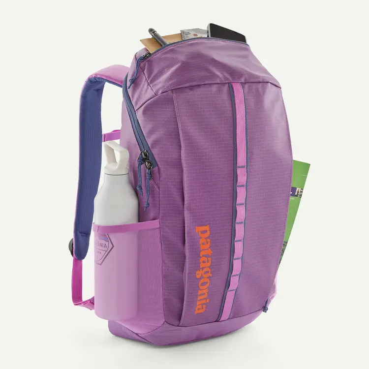 Patagonia Black Hole® Pack 25L- Brisk Purple