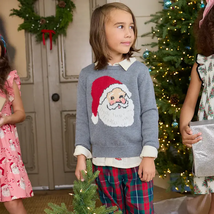 Blue Rooster (Pink Chicken) Boys Oliver Sweater- Santa