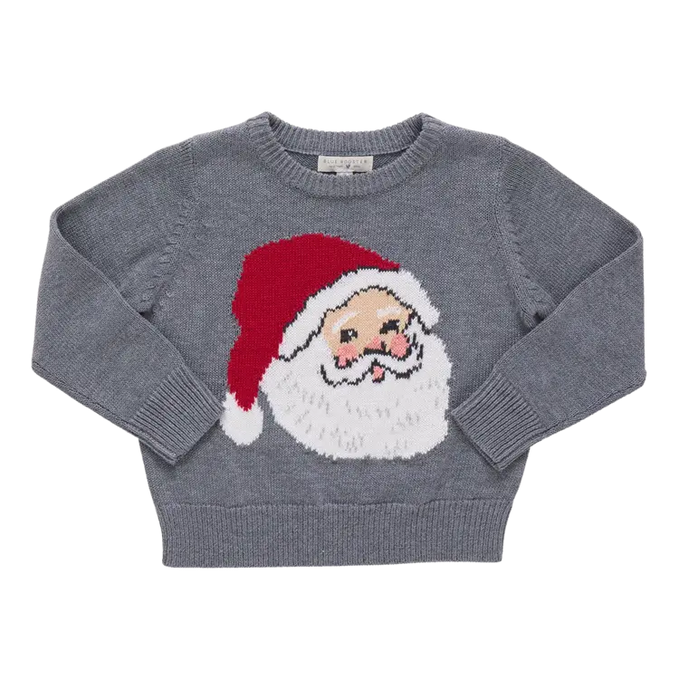 Blue Rooster (Pink Chicken) Boys Oliver Sweater- Santa