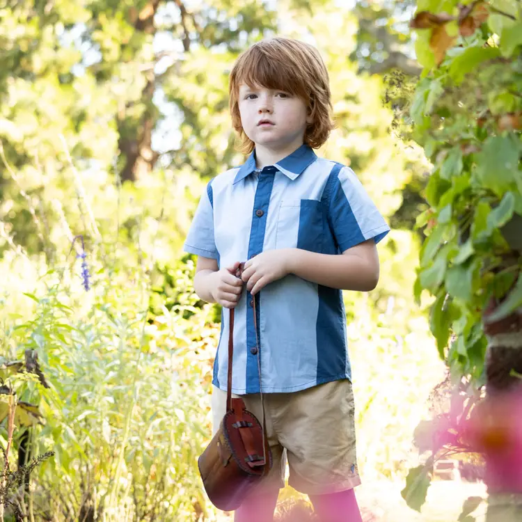 Blue Rooster (Pink Chicken) Boys Jack Shirt - Cabana Stripe