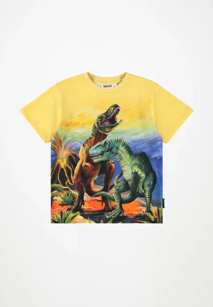 Molo Riley T-Shirt - Dino Art